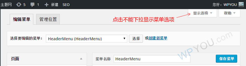 WordPress4.2菜单显示选项无法显示