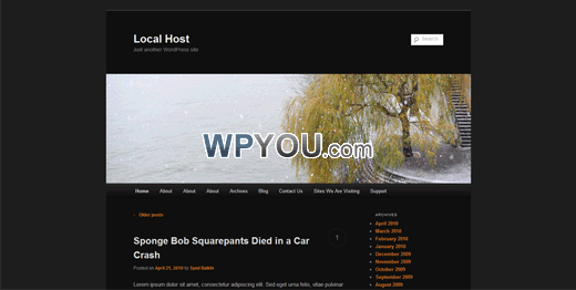 WordPress 3.2 的6大特色功能及更新 - 博客 - 6