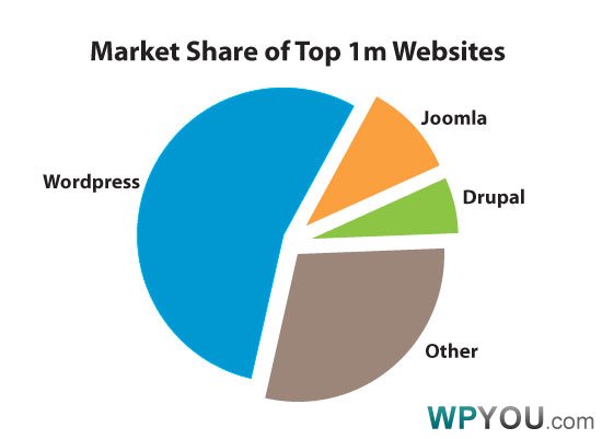 WordPress在百万网站中占有突出份额 - 新闻 - 1