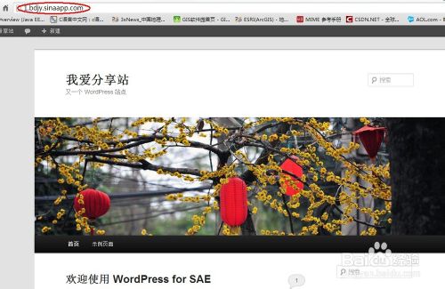 SAE搭建免费WordPress网站教程 - 博客 - 20