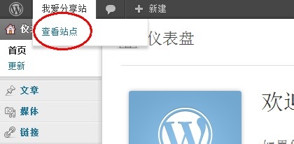 SAE搭建免费WordPress网站教程 - 博客 - 19