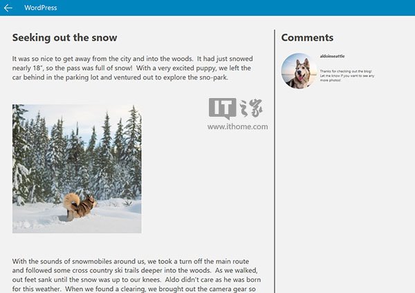 WordPress网站变身为Win10应用 - 博客 - 1