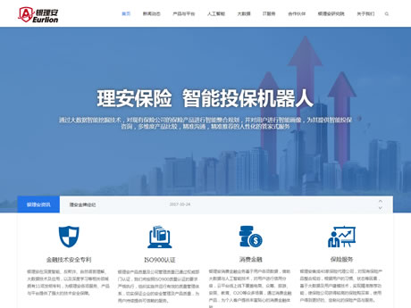 银理安信息金融服务（北京）有限公司